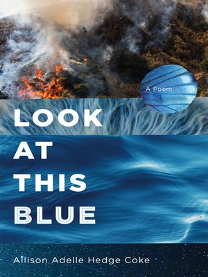 cover image of Look at This Blue